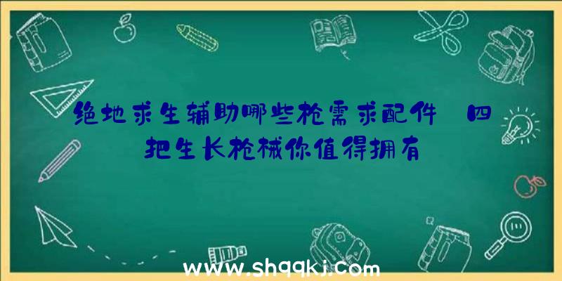 绝地求生辅助哪些枪需求配件